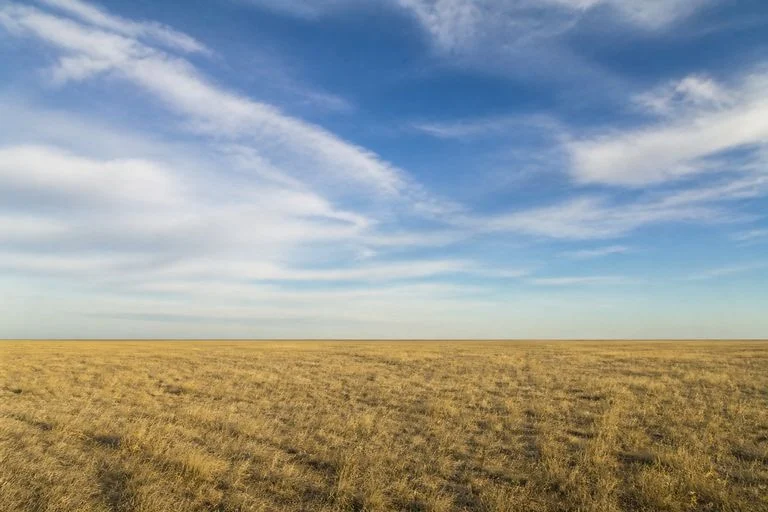 An open field with a wide sky and a horizon near the lower third